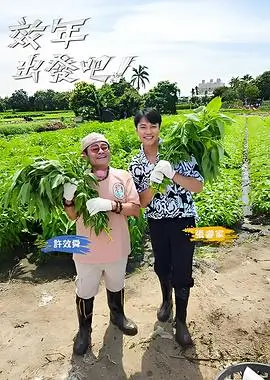 综艺乘风破浪封面